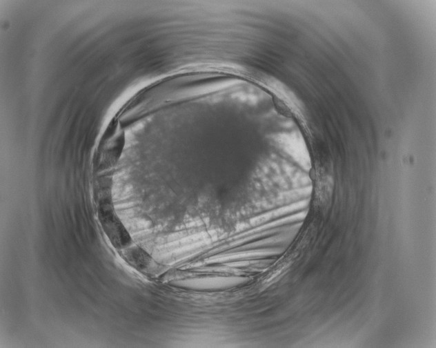 X0000086081102200704202145