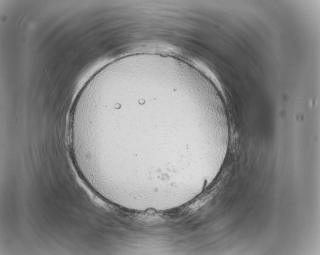 X0000086081103200704202145