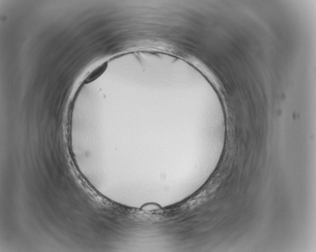 X0000086081104200704202145