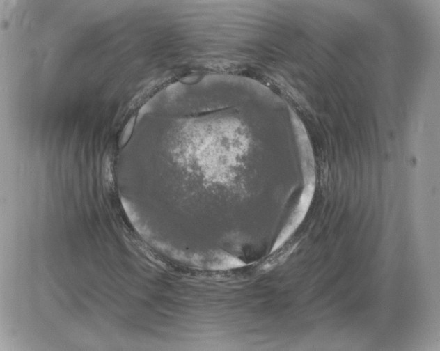 X0000086081106200704202144