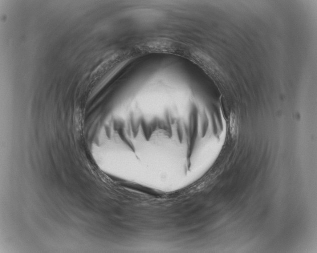 X0000086081107200704202144