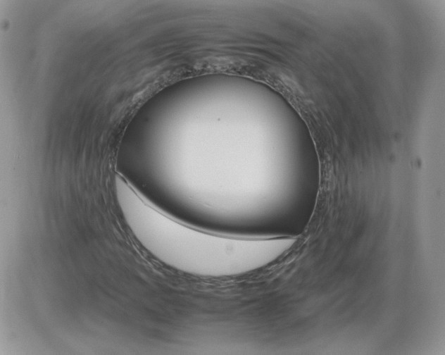 X0000086081109200704202144