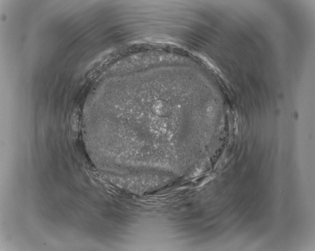 X0000086081110200704202144