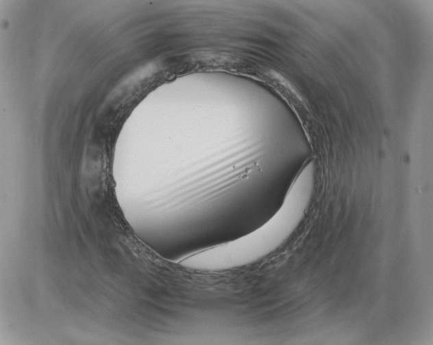 X0000086081111200704202144