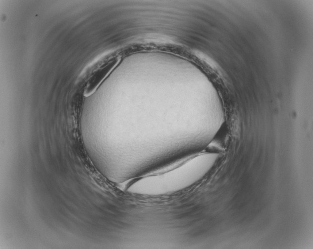 X0000086081112200704202144