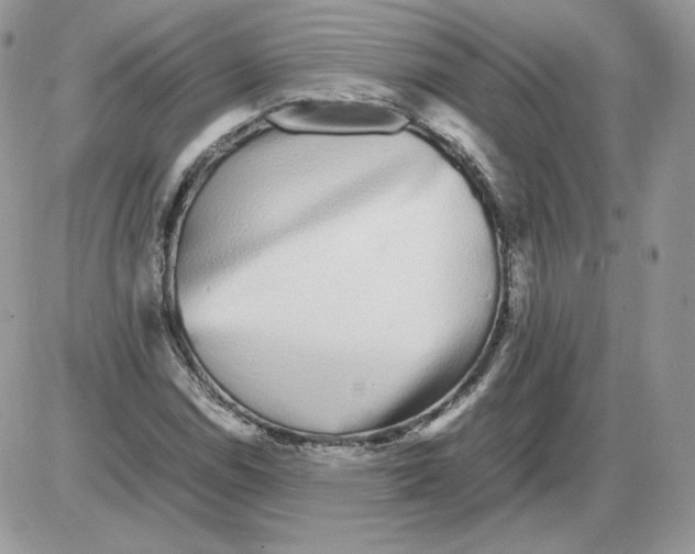 X0000086081114200704202144