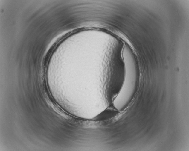 X0000086081116200704202144