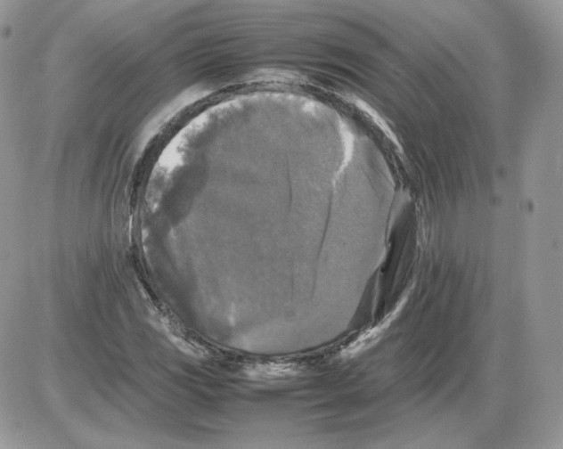 X0000086081117200704202144