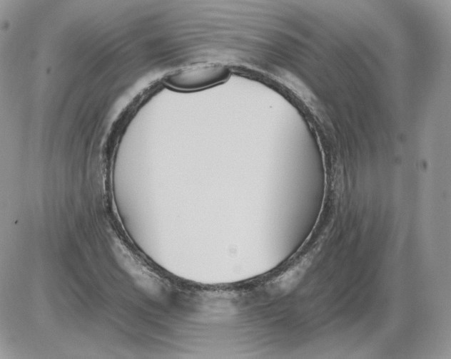 X0000086081118200704202144