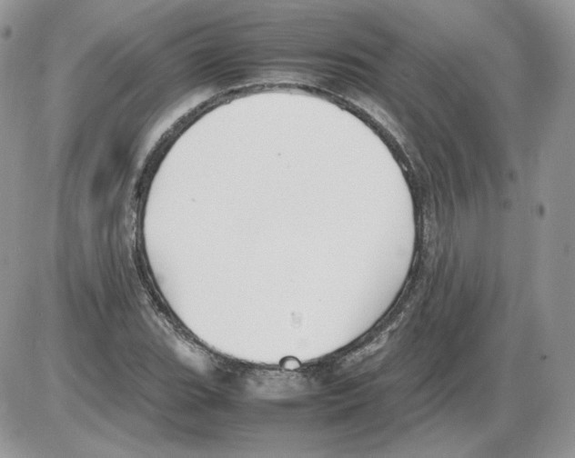 X0000086081119200704202144