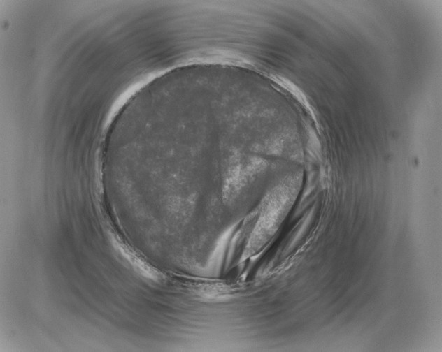 X0000086081120200704202144