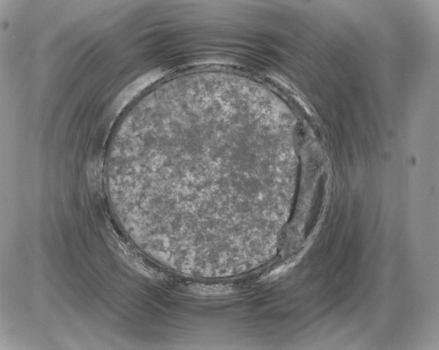 X0000086081121200704202144