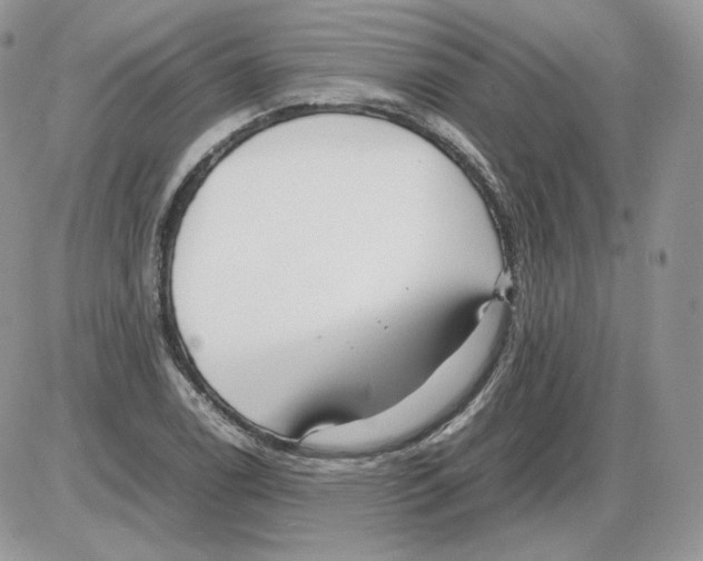 X0000086081122200704202144