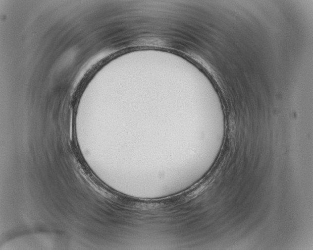 X0000086081123200704202144