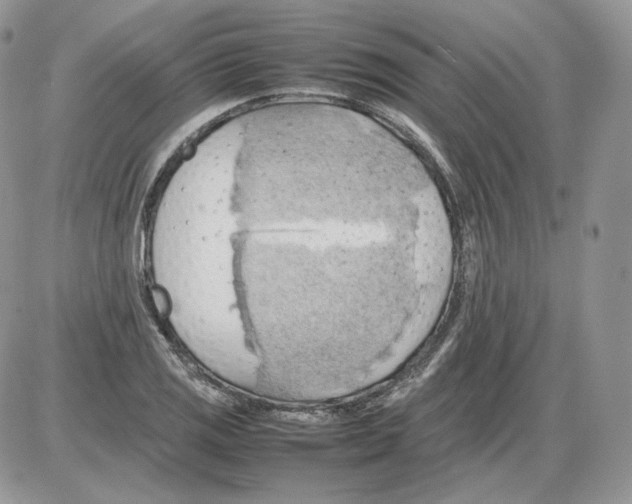 X0000086081125200704202144