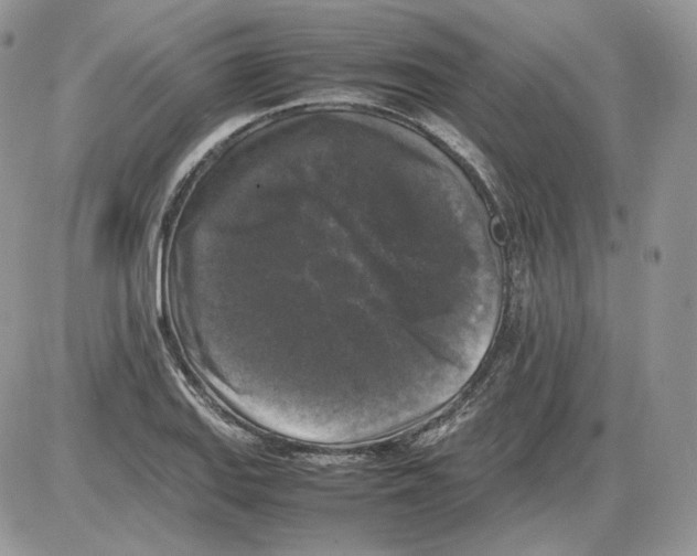 X0000086081127200704202144