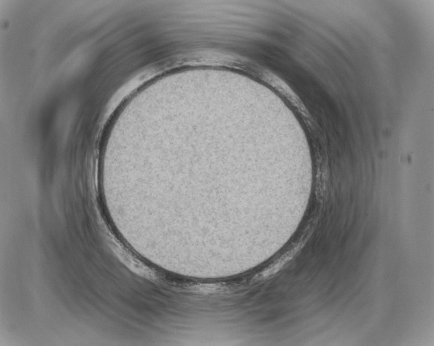 X0000086081130200704202144