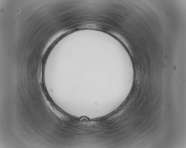 X0000086081131200704202144