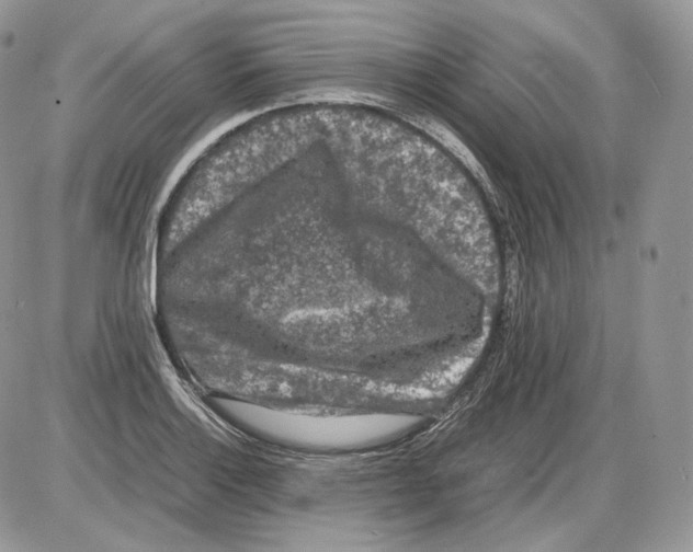 X0000086081132200704202144