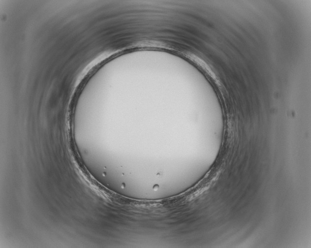 X0000086081133200704202144