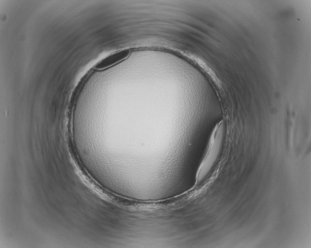 X0000086081134200704202144