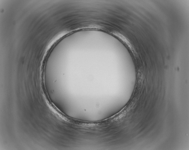 X0000086081135200704202144