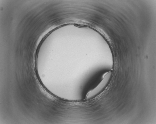 X0000086081136200704202144