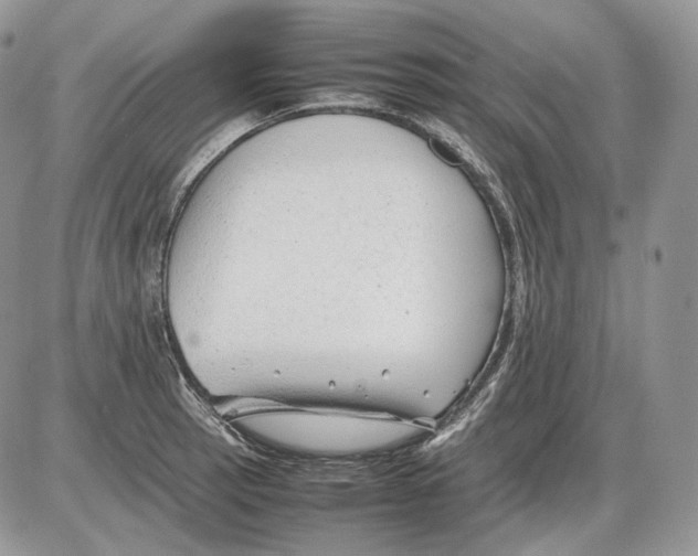 X0000086081137200704202144