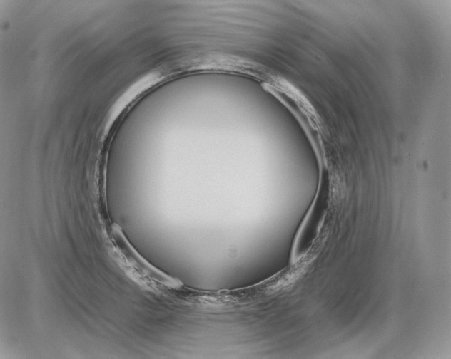 X0000086081138200704202145