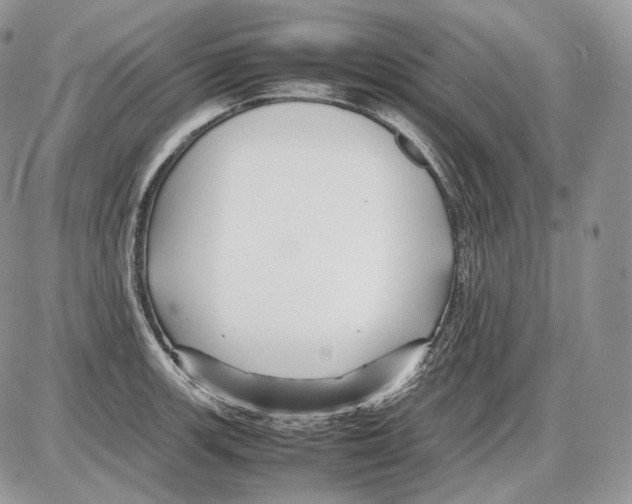 X0000086081139200704202145