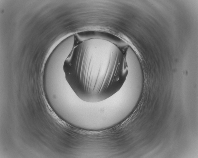 X0000086081140200704202145