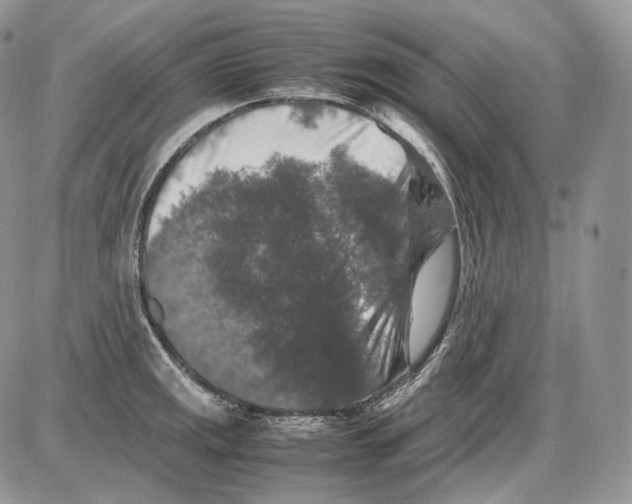 X0000086081141200704202145