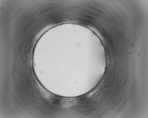 X0000086081143200704202145