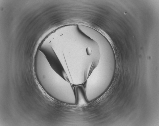 X0000086081144200704202145