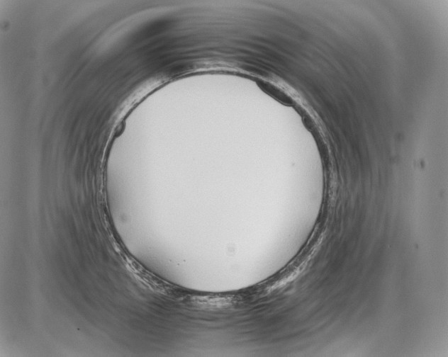 X0000086081145200704202145