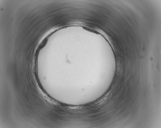 X0000086081147200704202145