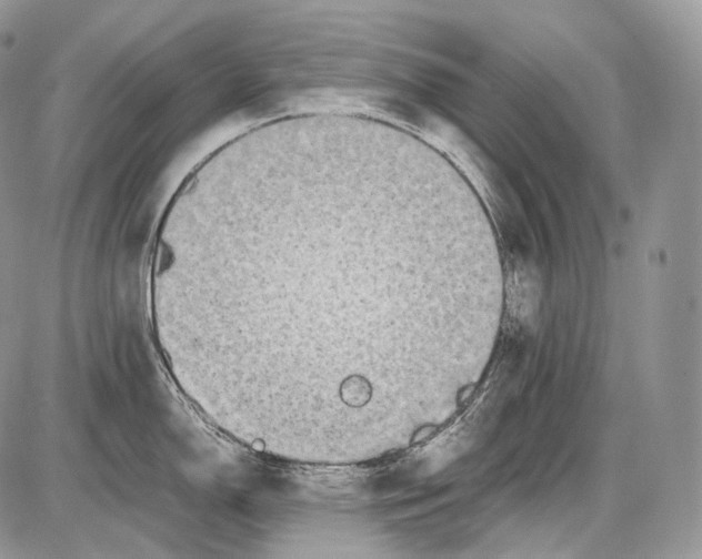 X0000086081150200704202145