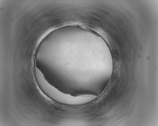 X0000086081151200704202145