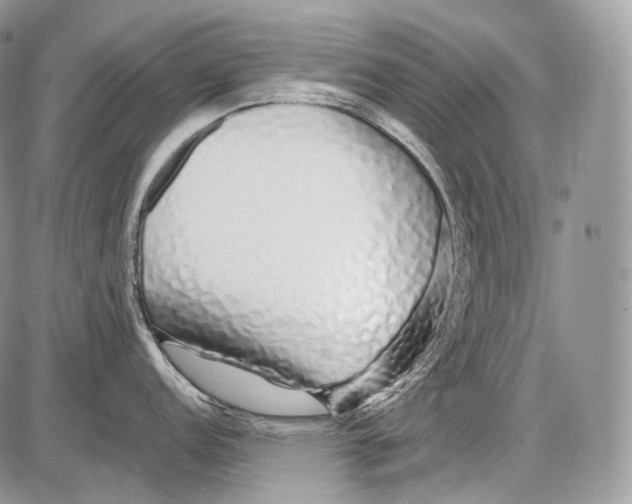 X0000086081152200704202145