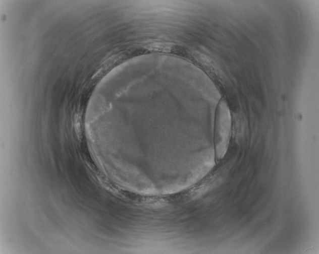 X0000086081154200704202144