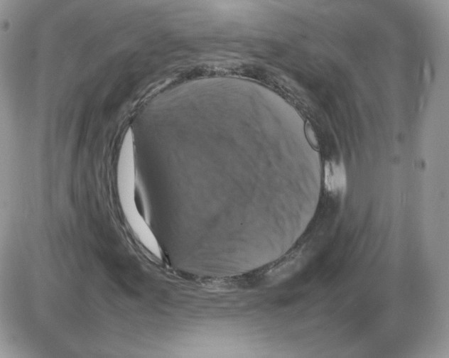 X0000086081155200704202144