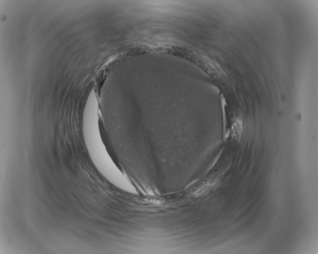 X0000086081156200704202144