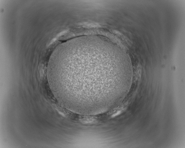 X0000086081157200704202144