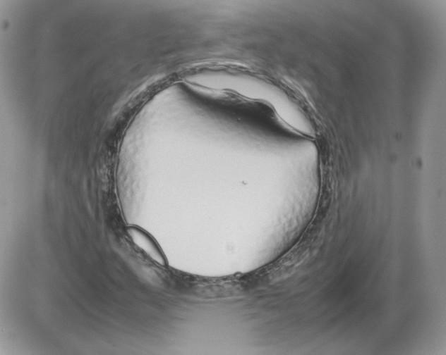 X0000086081159200704202144