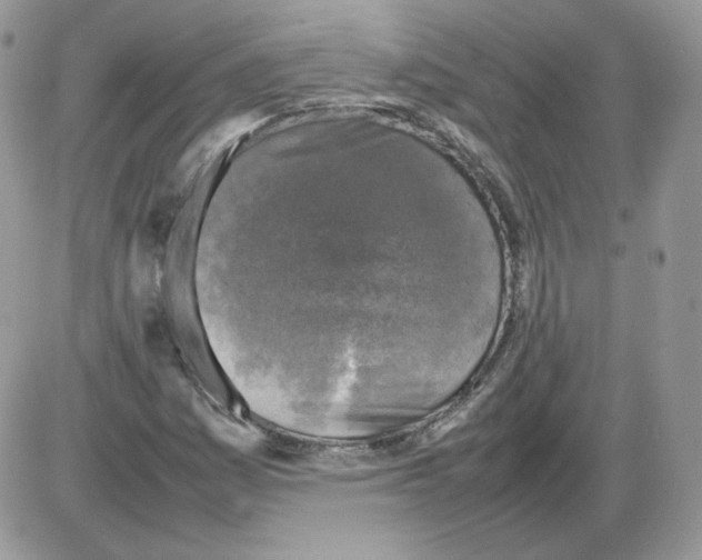 X0000086081161200704202144