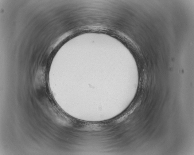 X0000086081162200704202144