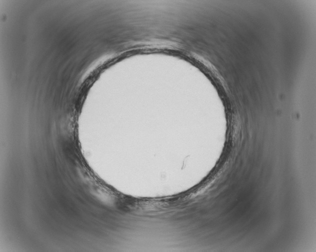 X0000086081163200704202144