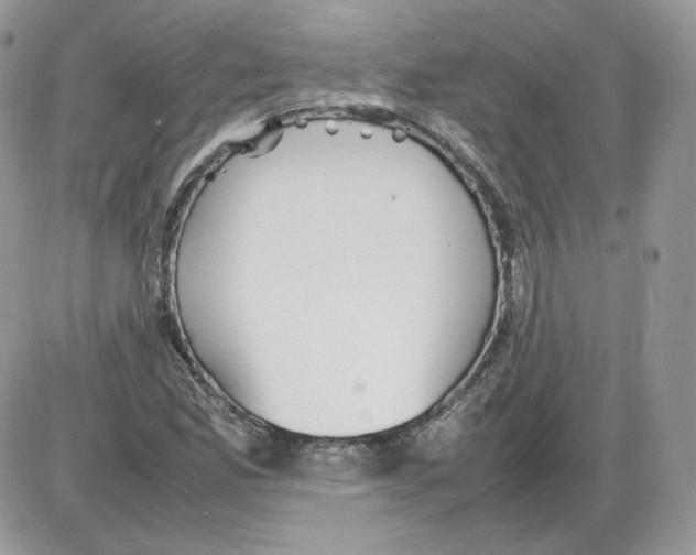 X0000086081165200704202144