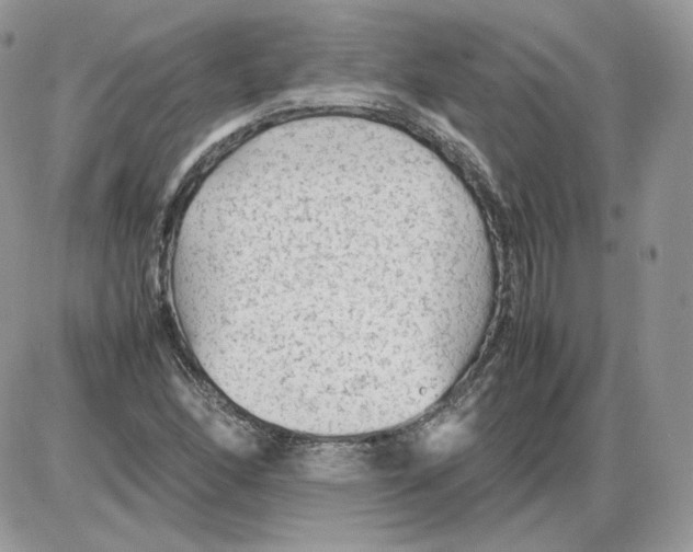 X0000086081166200704202144