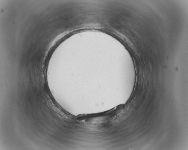 X0000086081168200704202144